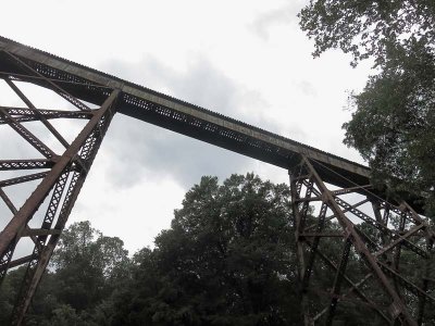 Tulip Viaduct