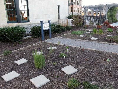 Chef's Herb Garden