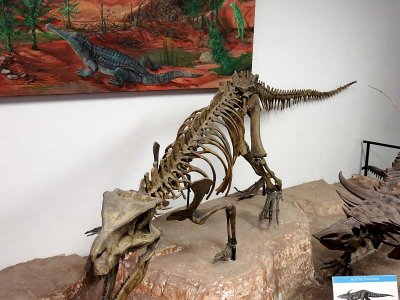 Rauisuchids