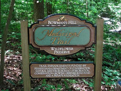 Bowman's Hill Wildflower Preserve