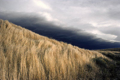 Grasslands and Storm Front 