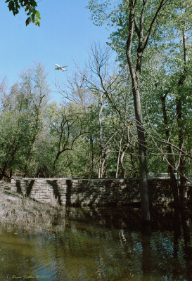 Robinson Woods Stone Bridge