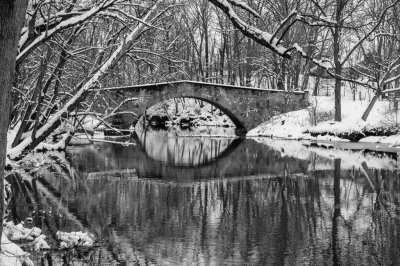 DSC_0043.jpg