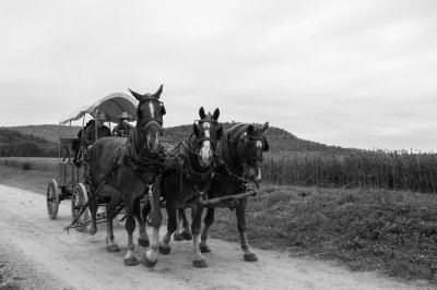 DSC_0097.jpg