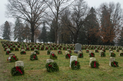 DSC_0096.jpg
