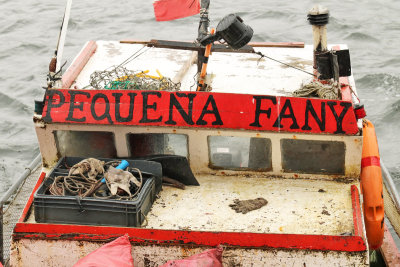Puerto Eden
