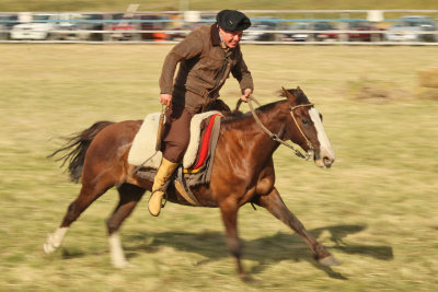 Rodeo in Cerro Castillo