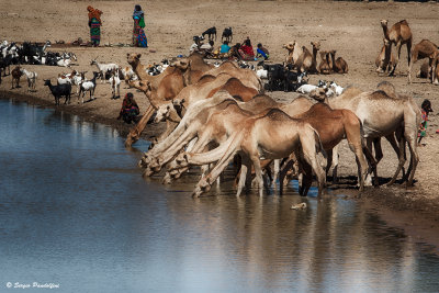 Afar village