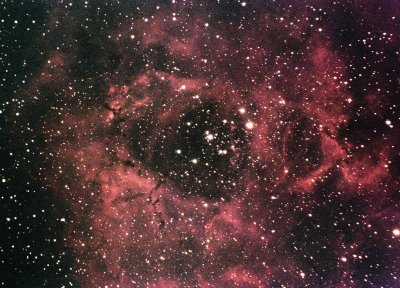 NGC2244 -THE ROSETTE NEBULA