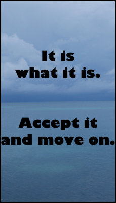 move on - it is what it is.jpg