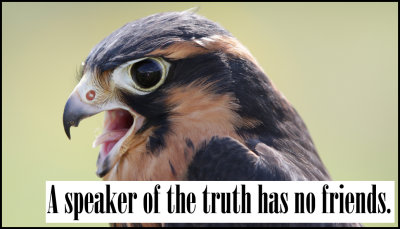 truth - the speaker of the truth.jpg