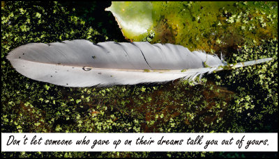life - dont let someone.jpg