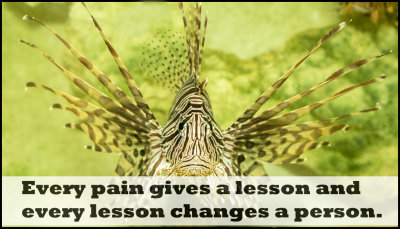 Lessons - V - every pain gives.jpg