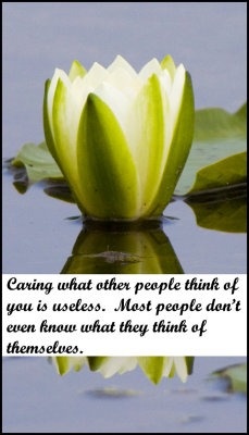 people - v - caring what other.jpg