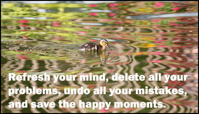 Problem - refresh your mind.jpg