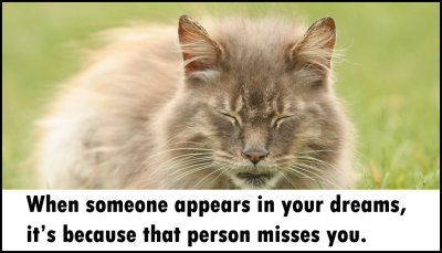 dream - when someone appears.jpg