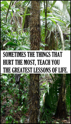 lessons - v - somethings the things that.jpg