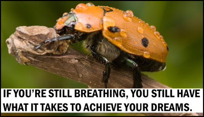 dreams - if youre still breathing.jpg