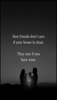 friends - v - best friends dont care.jpg