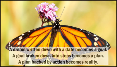 dream - a dream written down.jpg