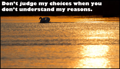 choice - v - dont judge my choices.jpg