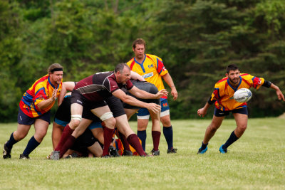 vs Norfolk