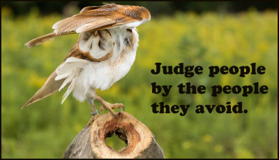 judge_judge_people_by_the_people.jpg