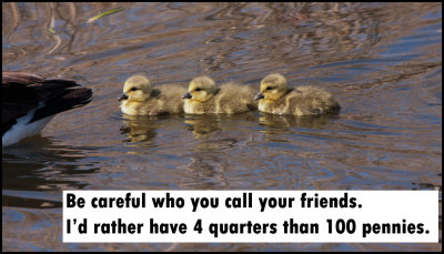 friends_be_careful_who_you_call.jpg