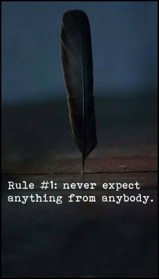 rules_v_rule_1_never_expect.jpg