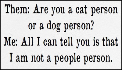 people_are_you_a_cat_person.jpg