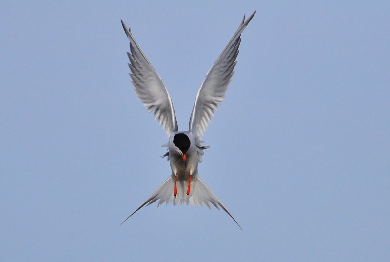 Hover mode