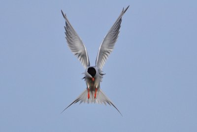 Hover mode
