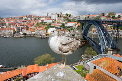 Porto (April 2018)