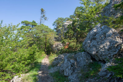g10/94/11494/3/168084892.RU0dEs63.jpg