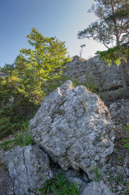 g10/94/11494/3/168084931.rGUHz8bm.jpg