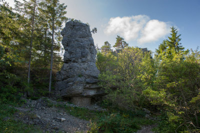 g10/94/11494/3/168084932.8koHofLd.jpg
