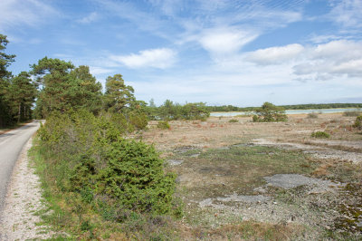 g10/94/11494/3/168089723.3cxK4dNo.jpg