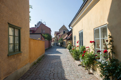 g10/94/11494/3/168106773.Iiu3RS9X.jpg