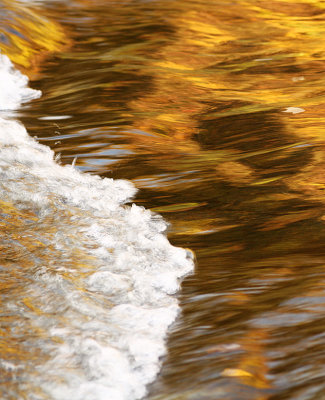 Fall Reflections in Wolf Creek