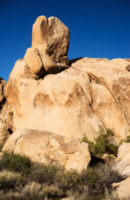 Joshua Tree National Park