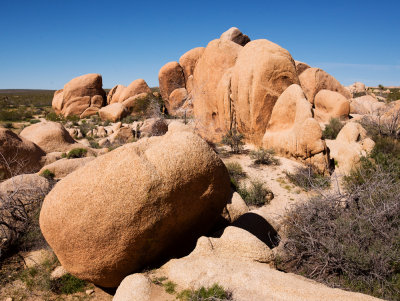 Joshua Tree National Park