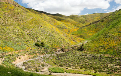 Walker Canyon