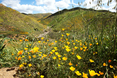 Walker Canyon