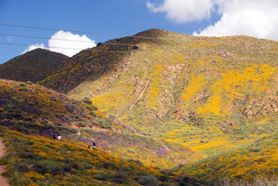 Walker Canyon