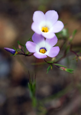 DSC_4813s.jpg