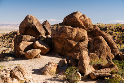 49 Palm Canyon Trail
