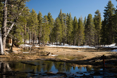 Alpine Meadow