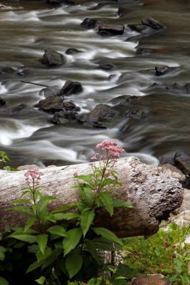 Slippery Rock Creek