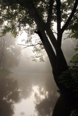 Slippery Rock Creek
