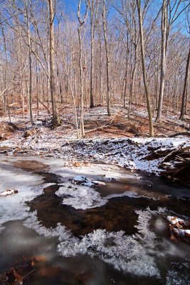 Little Sewickley Creek flowing through Wagner Hollow Natural Area